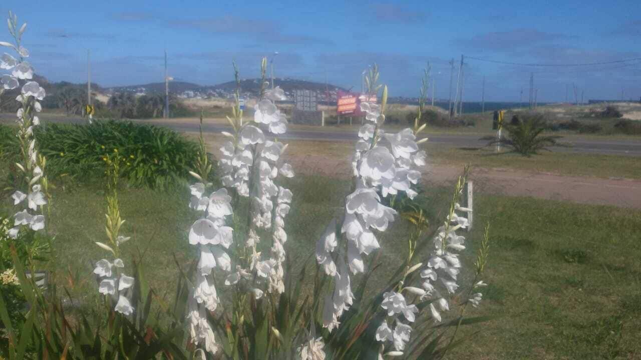 Playa Grande Hotel Piriapolis Exterior photo